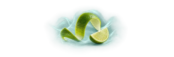 Acqua di Giò Eau de Toilette Opening