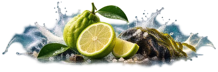 Acqua di Giò Parfum Opening