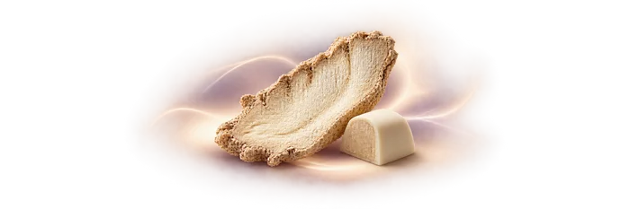 Ariana Grande MOD Vanilla Eau de Parfum Heart