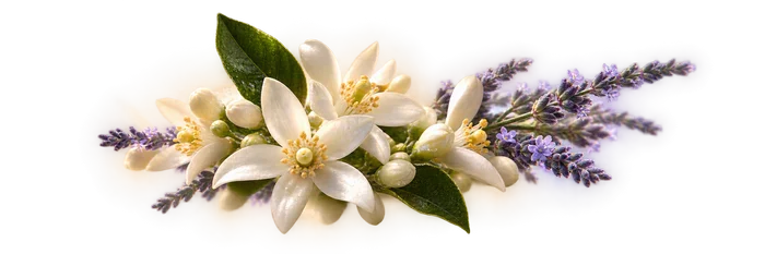 Libre Eau de Parfum Heart