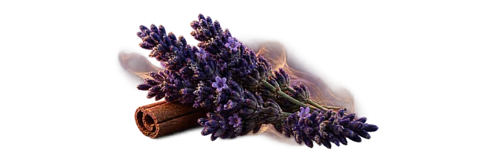 Sauvage Elixir Heart