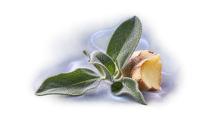 Valentino Uomo Born in Roma Eau de Toilette Heart