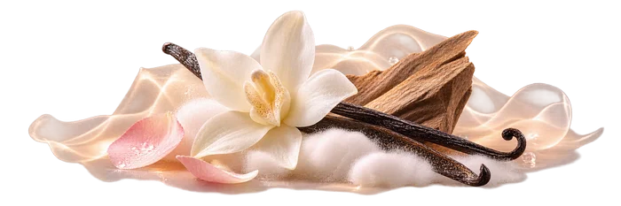 Lancôme Idôle Eau de Parfum Dry Down