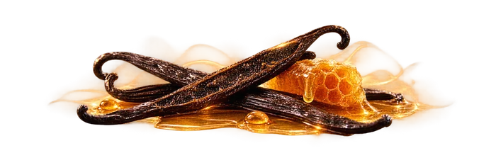 YSL Libre Le Parfum Dry Down